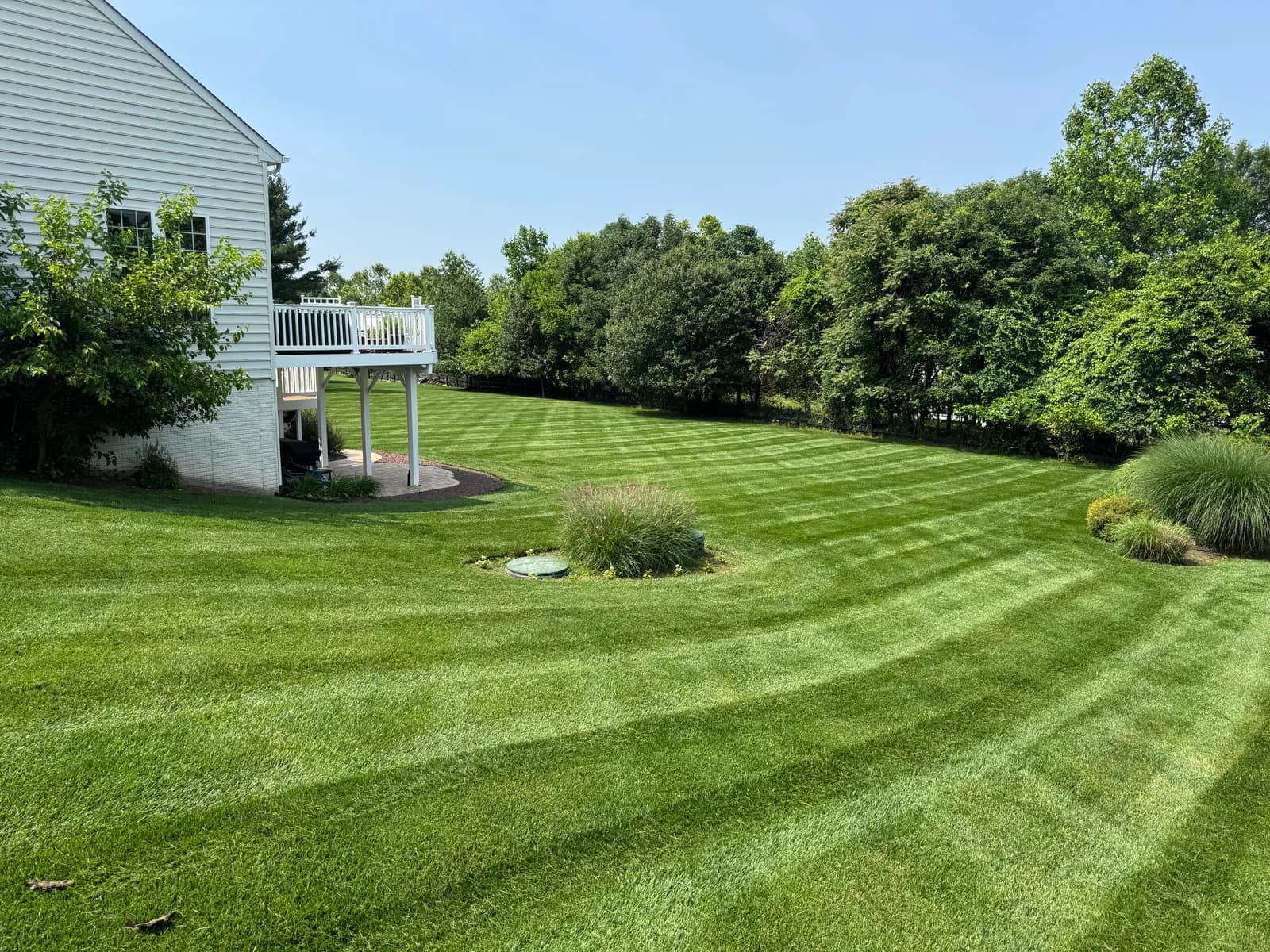 Professionally mowed lawn with crisp striping by Zilla Outdoor Services